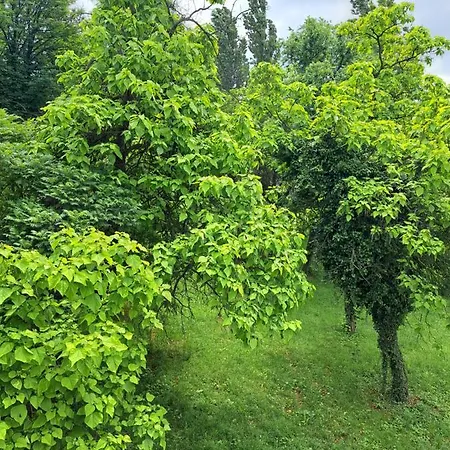 Ferienwohnung Stan Na Dan Sisters Belgrad Exterior foto
