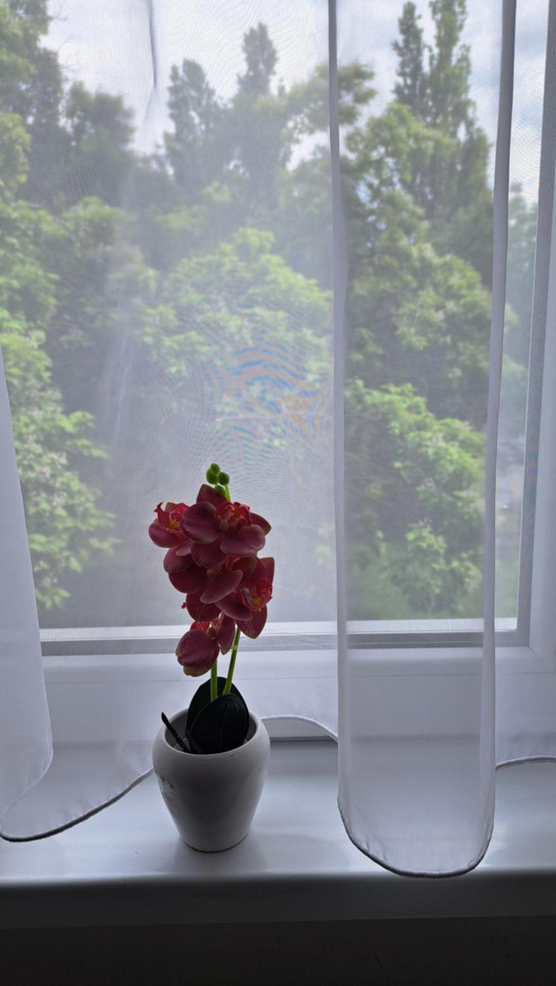 Stan Na Dan Sisters Apartment
